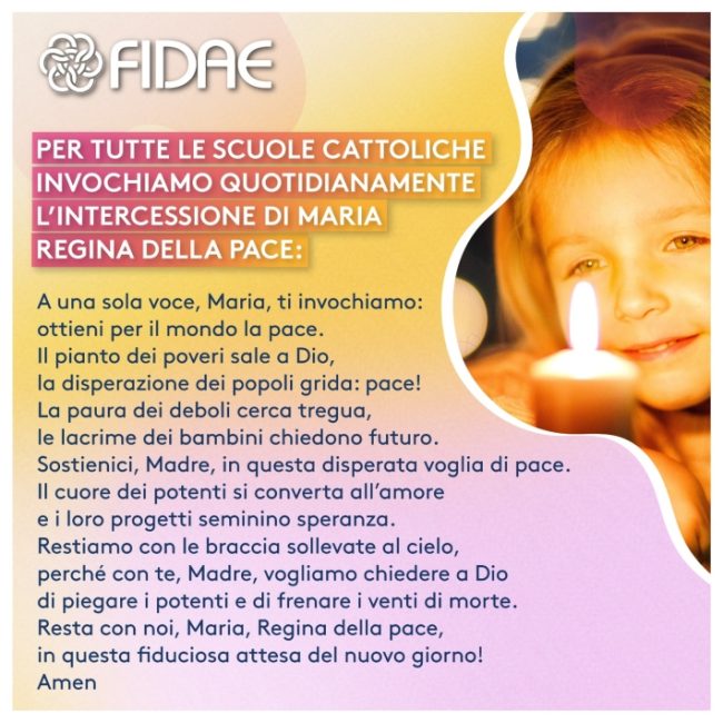 fidae fidae
